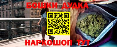 индика Комсомольск-на-Амуре