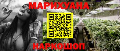 индика Комсомольск-на-Амуре