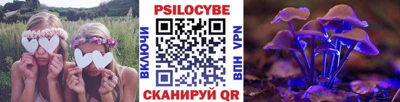цены наркотик Курганинск KRAKEN вход Галлюциногенные грибы Cubensis