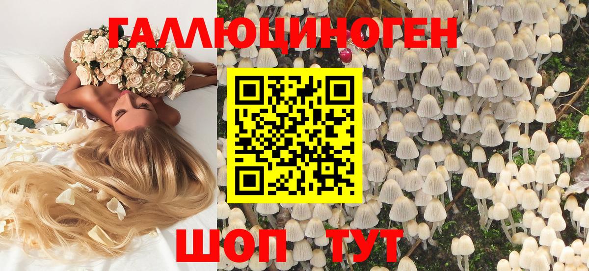 Курганинск  Псилоцибиновые грибы Psilocybe  Вход с VPN 