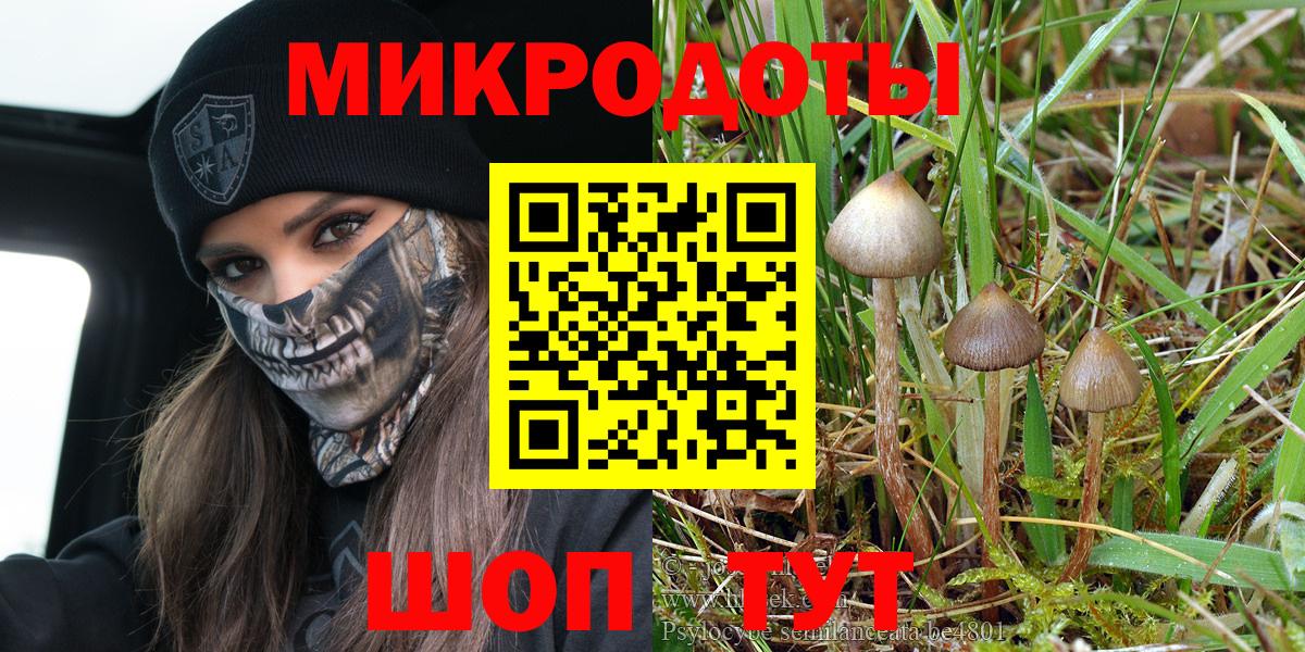 Галлюциногенные грибы Magic Shrooms Курганинск