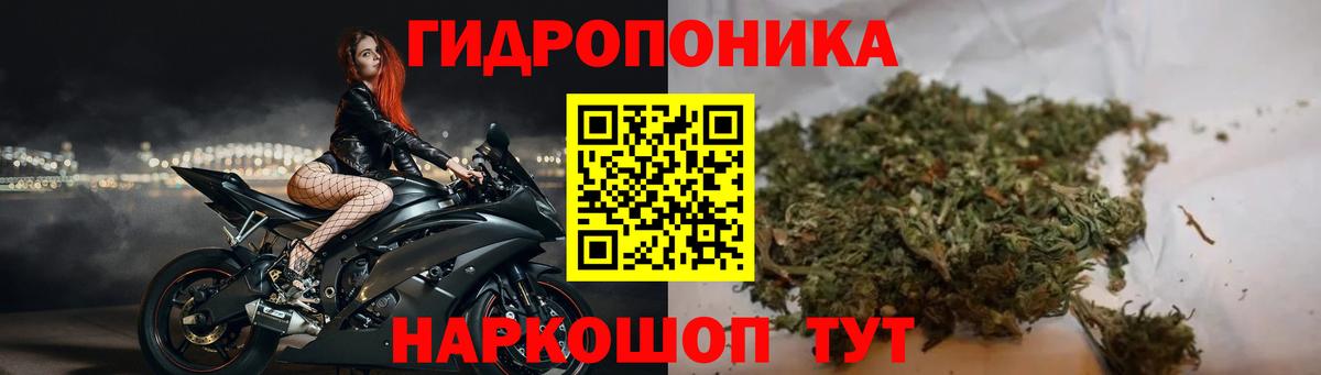 Курганинск  Шишки марихуана LSD WEED  Вход с VPN  Шишки марихуана марихуана  Конопля THC 21% 